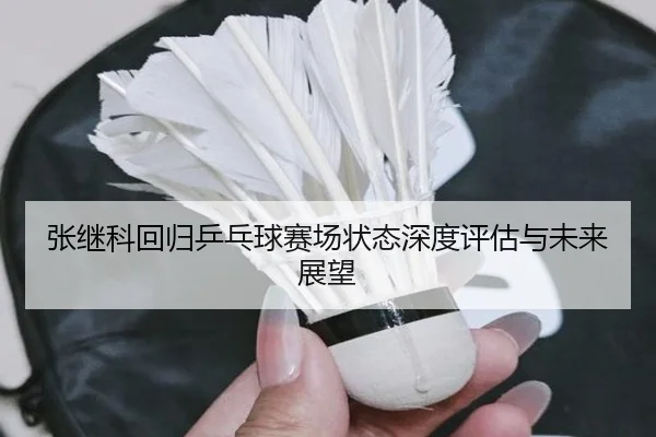 张继科回归乒乓球赛场状态深度评估与未来展望